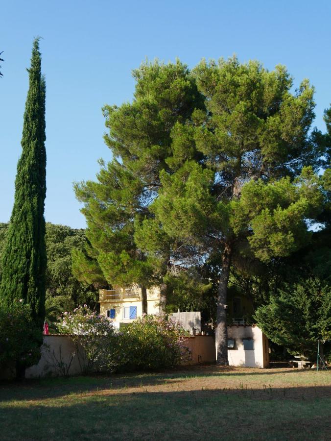 Gites De La Massane Argelès-sur-Mer Exterior foto
