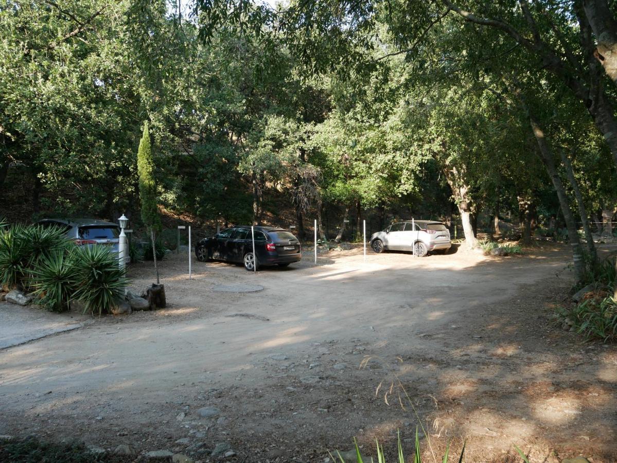 Gites De La Massane Argelès-sur-Mer Exterior foto