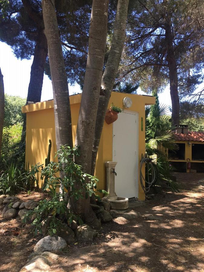 Gites De La Massane Argelès-sur-Mer Exterior foto